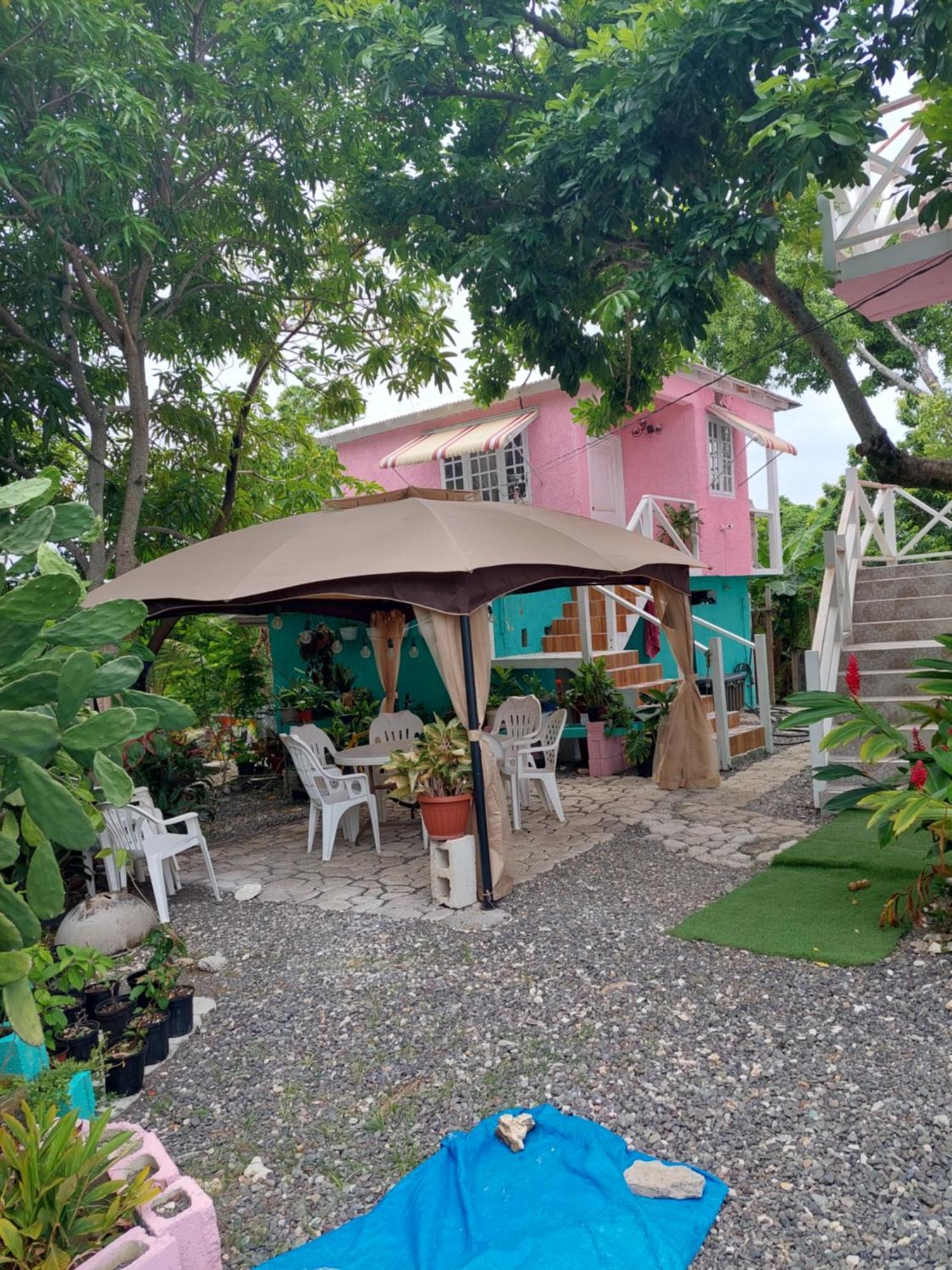 Alex'S Place - Tim Pappies Port Antonio Eksteriør billede